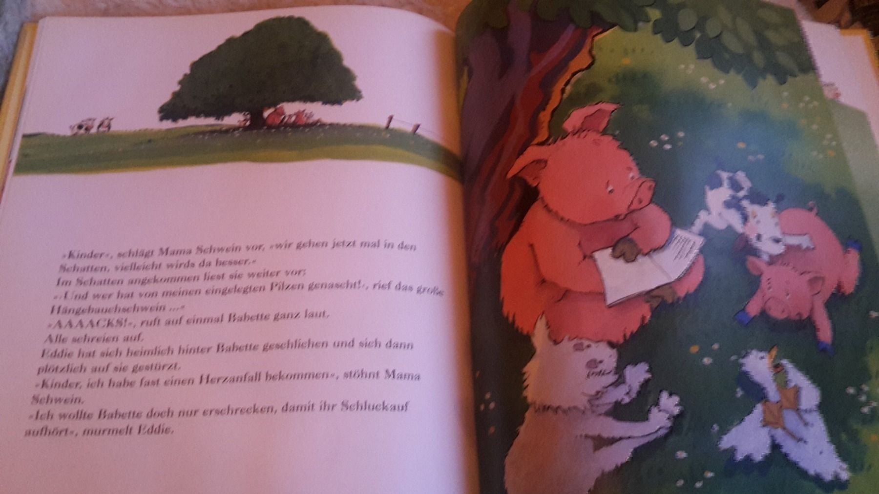 Libri: Buch Hicks macht Babette – Nuovo (secondo la descrizione) da Schwarzenburg venduto da Flamingo07 2