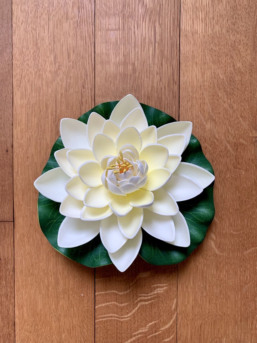 Tutte le decorazioni: Schwimmende Deko-Seerose – Nuovo (secondo la descrizione) da Zürich venduto da my_butterbrot
