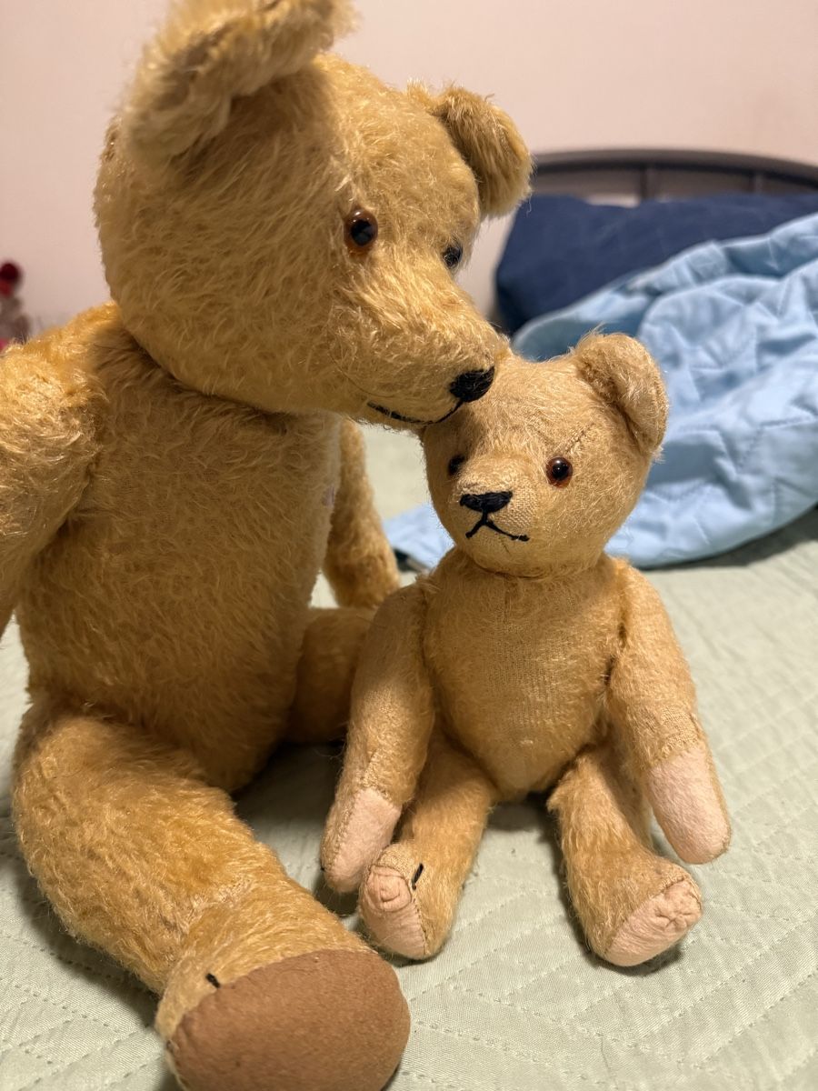 Steiff Bambole: antiken Bären Mohair Petz – Usato da Wattwil venduto da amm_rw6l 2