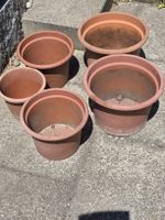 Plastic Plant Pots - Various Sizes for Your Garden!