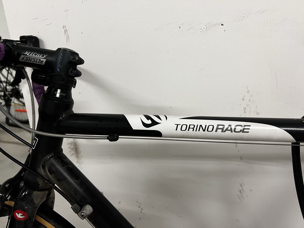 Biciclette: Torino Race Rennvelo – Top gepflegt, frisch ab Service! – Usato da Walenstadt venduto da Cavelti1 1