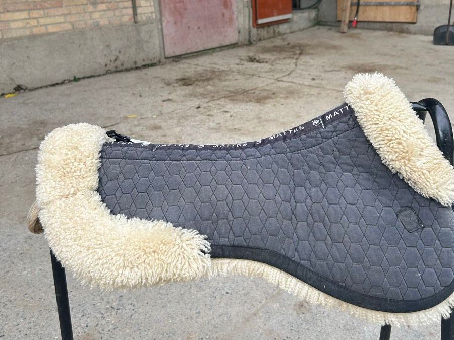 Selle & Accessori: Sattelunterlage Mattes Lammfell – Nuovo (secondo la descrizione) da Bolligen venduto da AndyBern 1