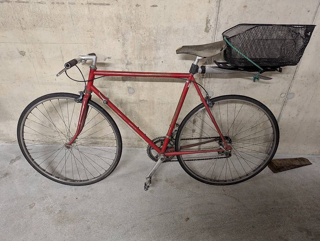 Biciclette: Fahrrad – Usato da Bern venduto da Whatever 2