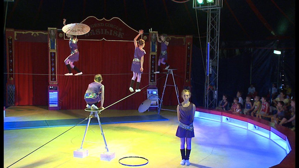 Alle DVDs: Circus Basilisk Programm 2010 Traumreise Zirkus Kinder – Gebraucht aus Allschwil von Summelsarium 6