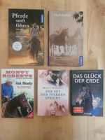 Sommerlektüre für Pferdeliebhaber! 5-teiliges Bücherkonvolut