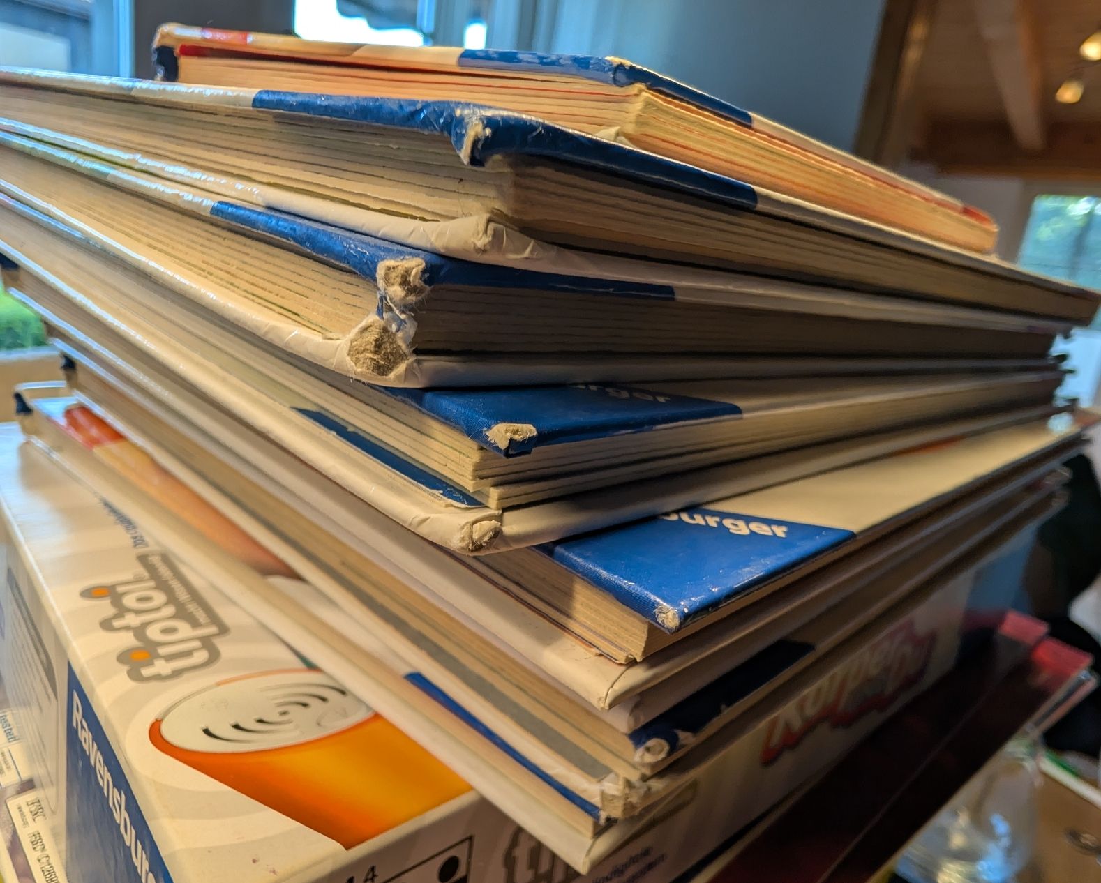 Bücher: diverse tiptoi Bücher – Gebraucht aus Hüttlingen von Remalimo 2