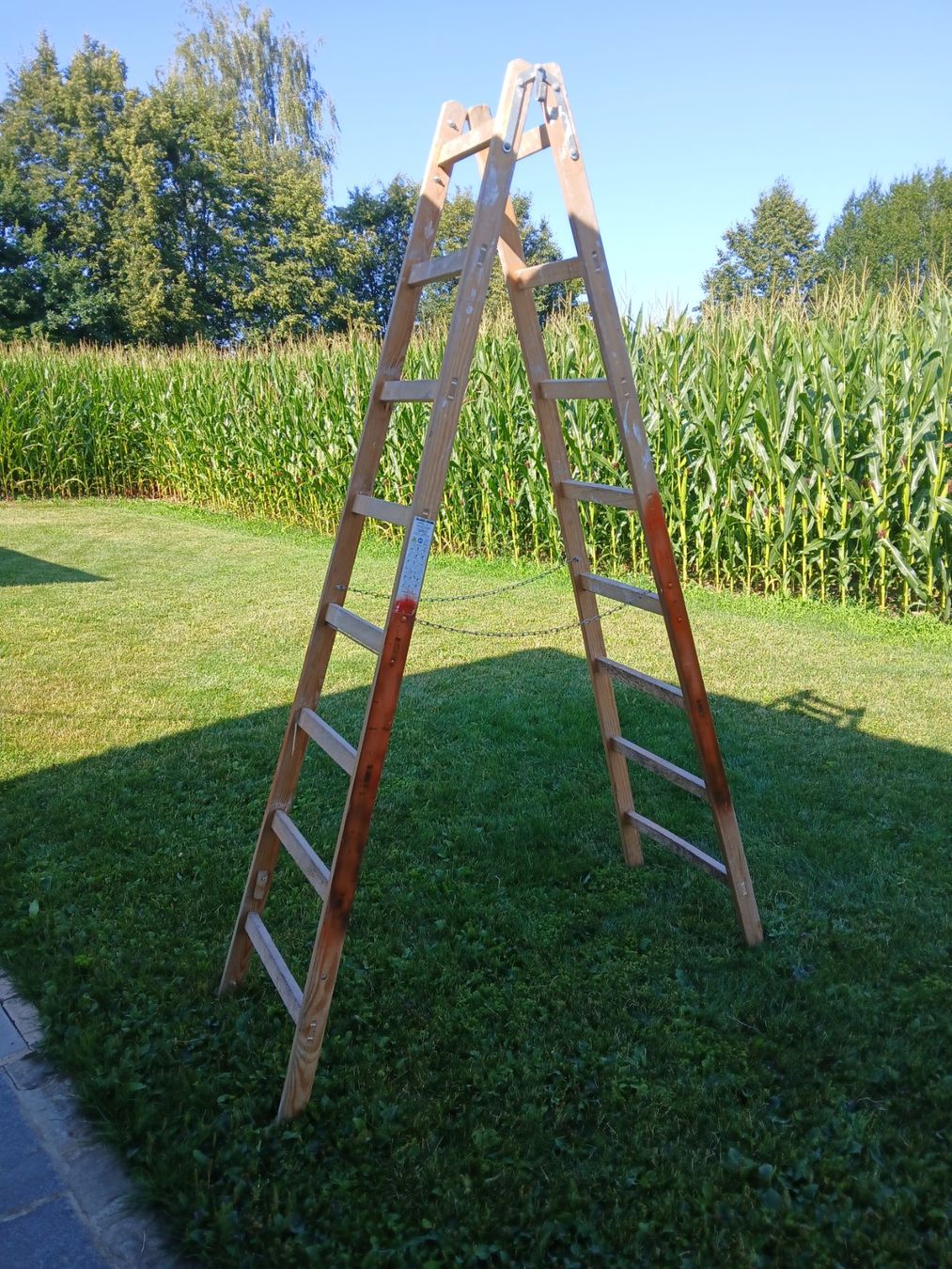 Echelles: Occ. Bockleiter 8 Stuffig – D'occasion à Pfaffnau par Hansrudi 1