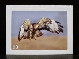 MIGROS MANIA Nature Detectives Nr. 93