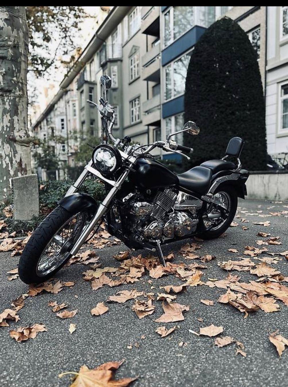 Yamaha Chopper: Yamaha XVS 650 25kw – Usato da Wohlenschwil venduto da Kai_der