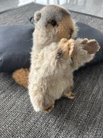 Steiff Murmeltier Original Knopf im Ohr
