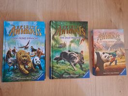 Spirit Animals - Band 1-3