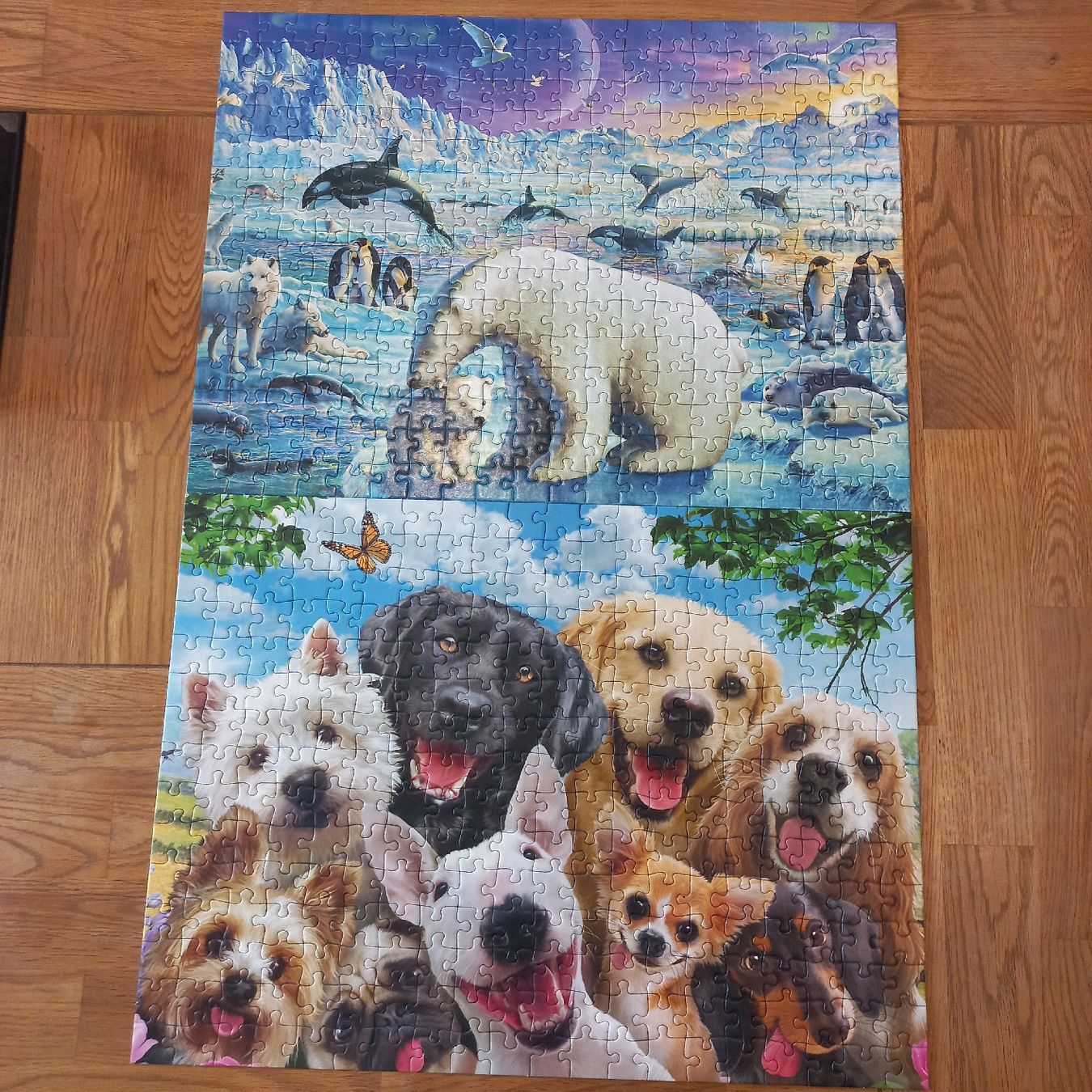 Ravensburger Puzzles: Ravensburger Puzzle 2×300 pièces  – Neu (gemäss Beschreibung) aus Dompierre FR von fat_xth5 1