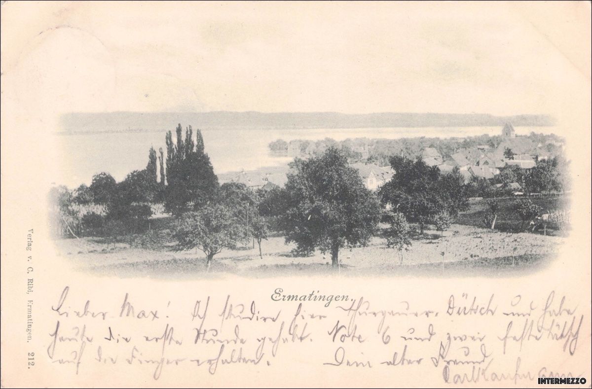 Cartoline postali: Ermatingen TG // 1898 (!) Gesamtansicht // Bodensee – Usato da Basel venduto da intermezzo12