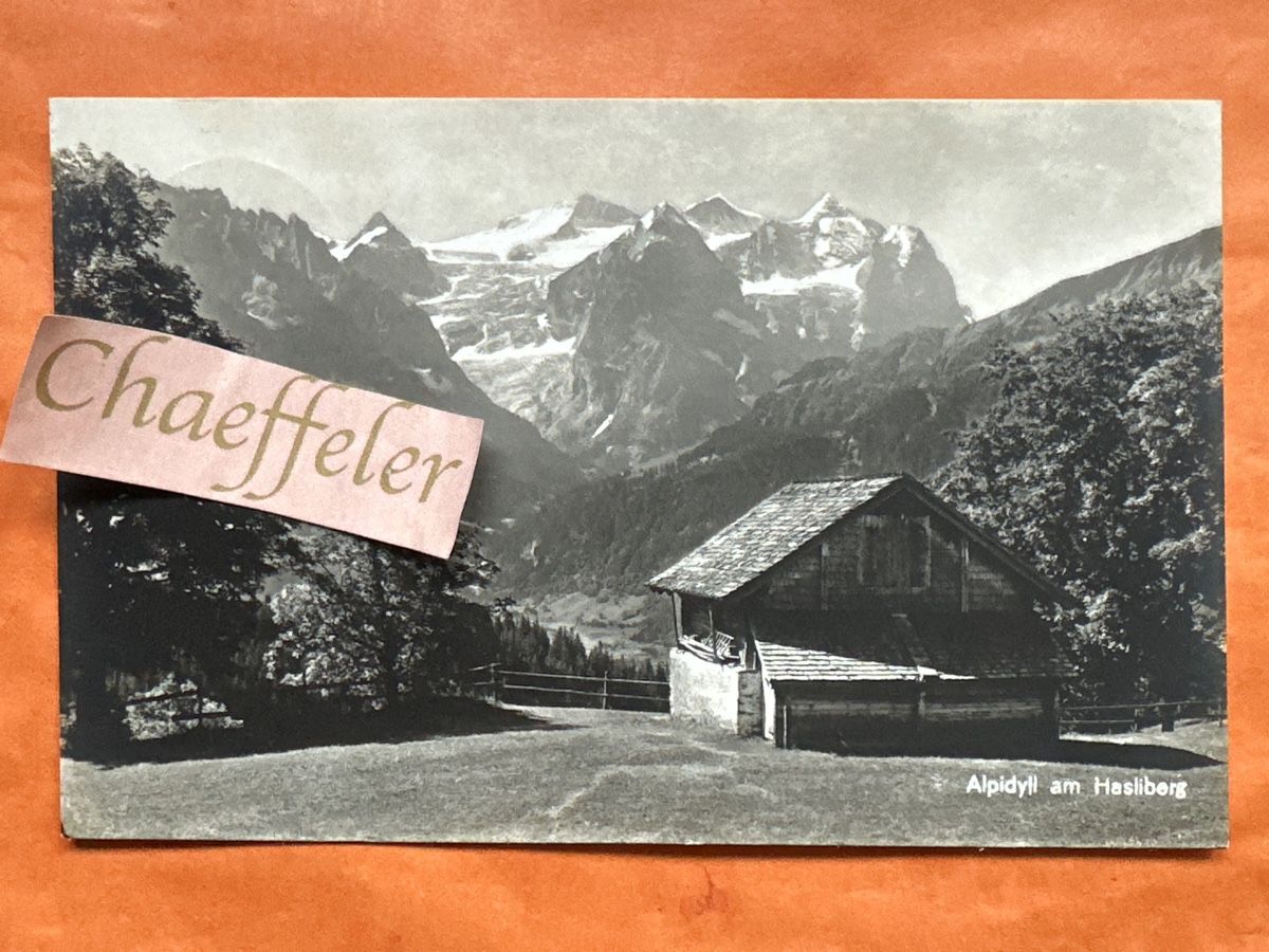 Cartoline postali: 1927 Alpidyl am Hasliberg – Usato da Zürich venduto da Chaeffeler