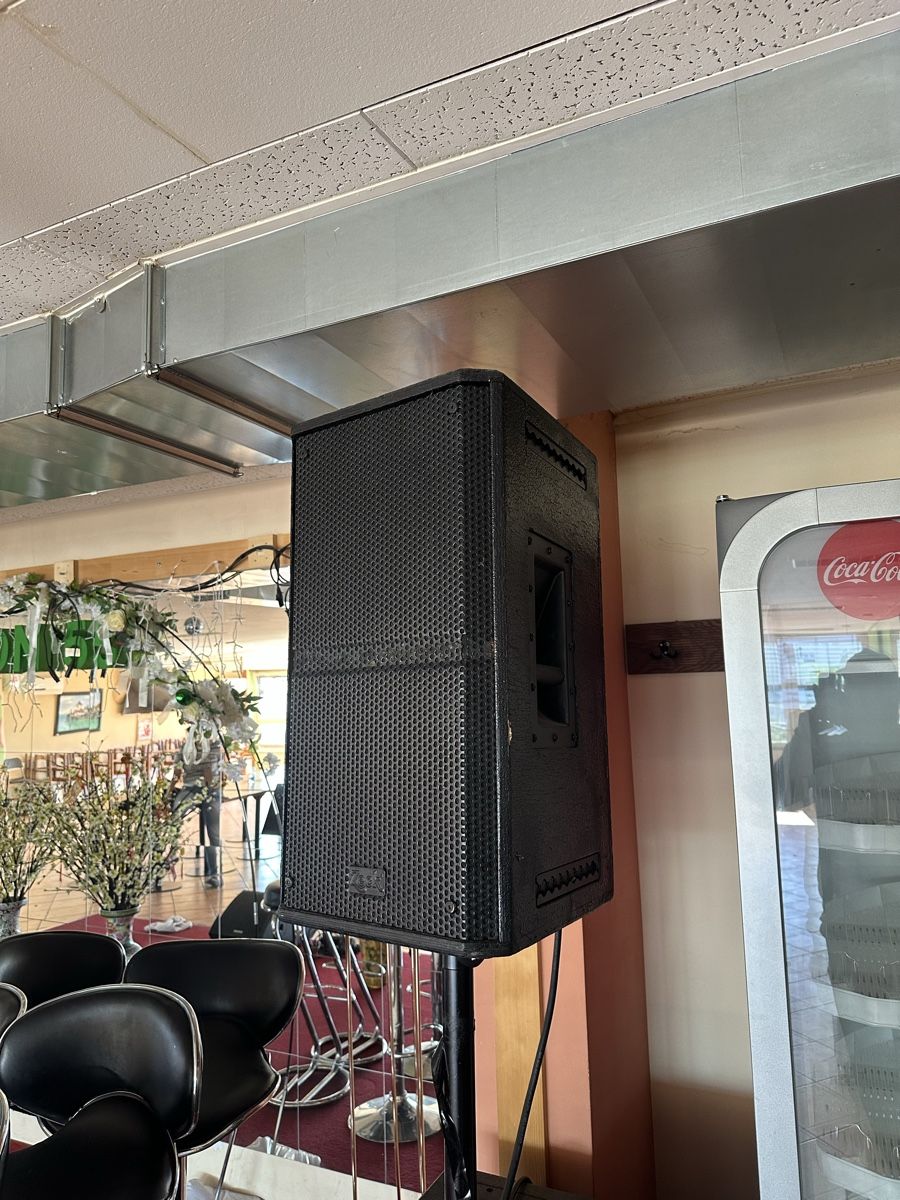Zeck Audio Casse acustiche: Freisprecheranlage / Speakers – Usato da Zürich venduto da urDetox 4
