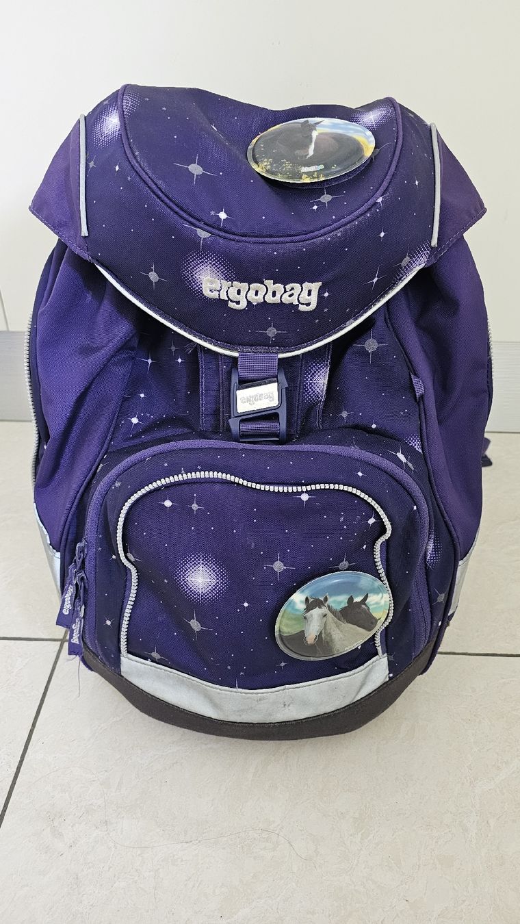 Borse & Zaini: Ergobag Schulsack – Usato da Niederbipp venduto da Schwage
