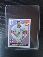 Bellingham Extra Sticker WM 26