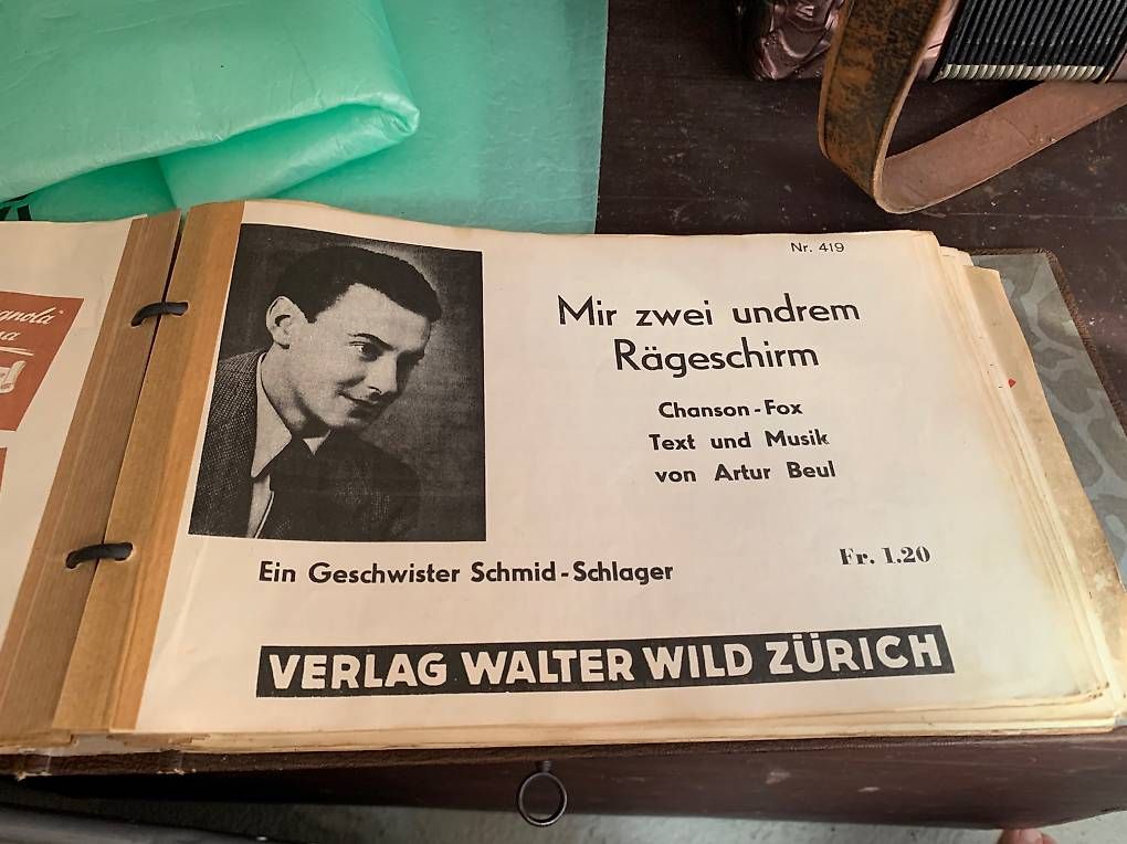 Strumenti musicali: alte Handorgel – Usato da Liestal venduto da redfive01 2