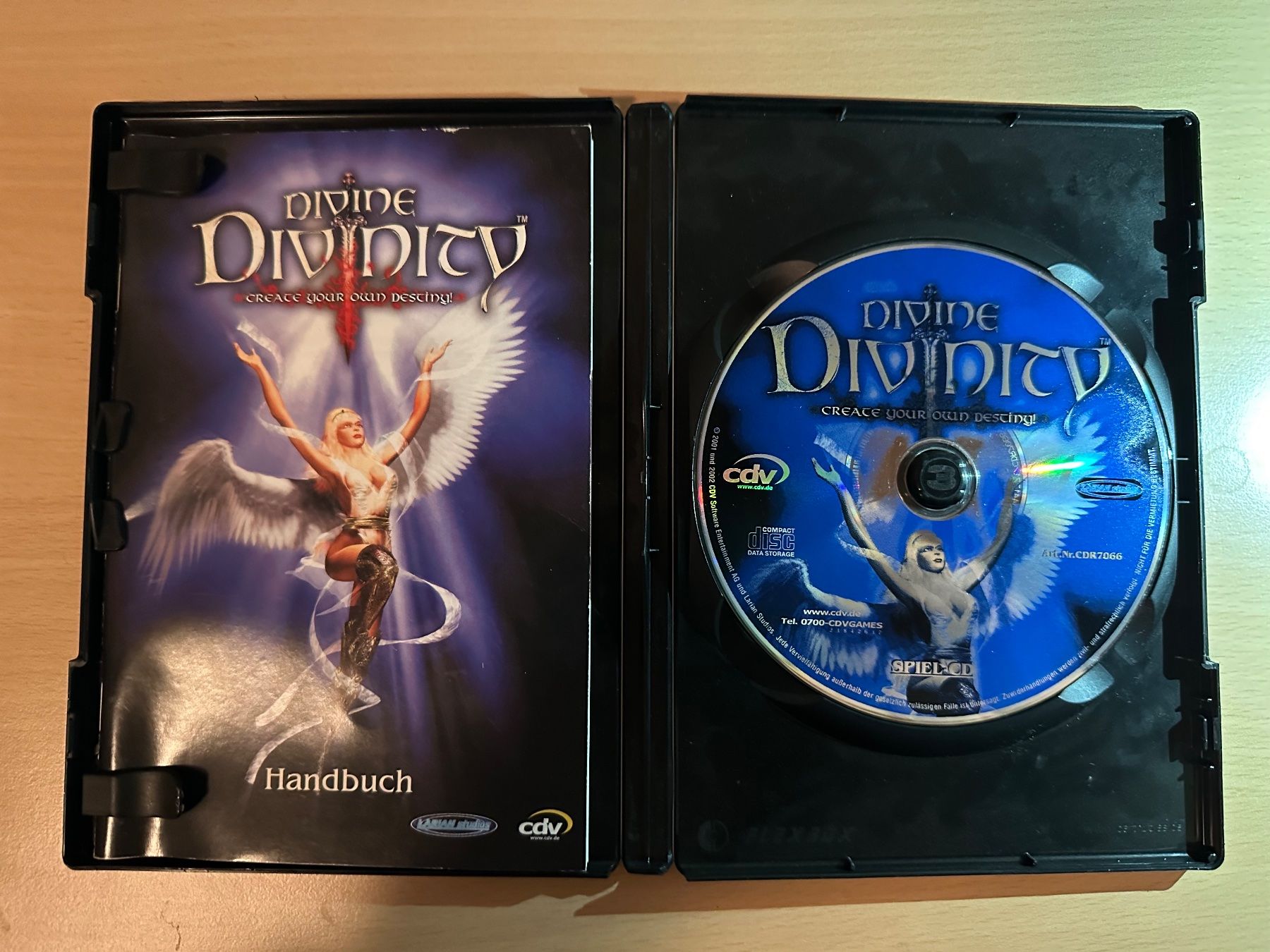 Giochi: Divine Divinity für PC – Usato da Kestenholz venduto da Inna09 2