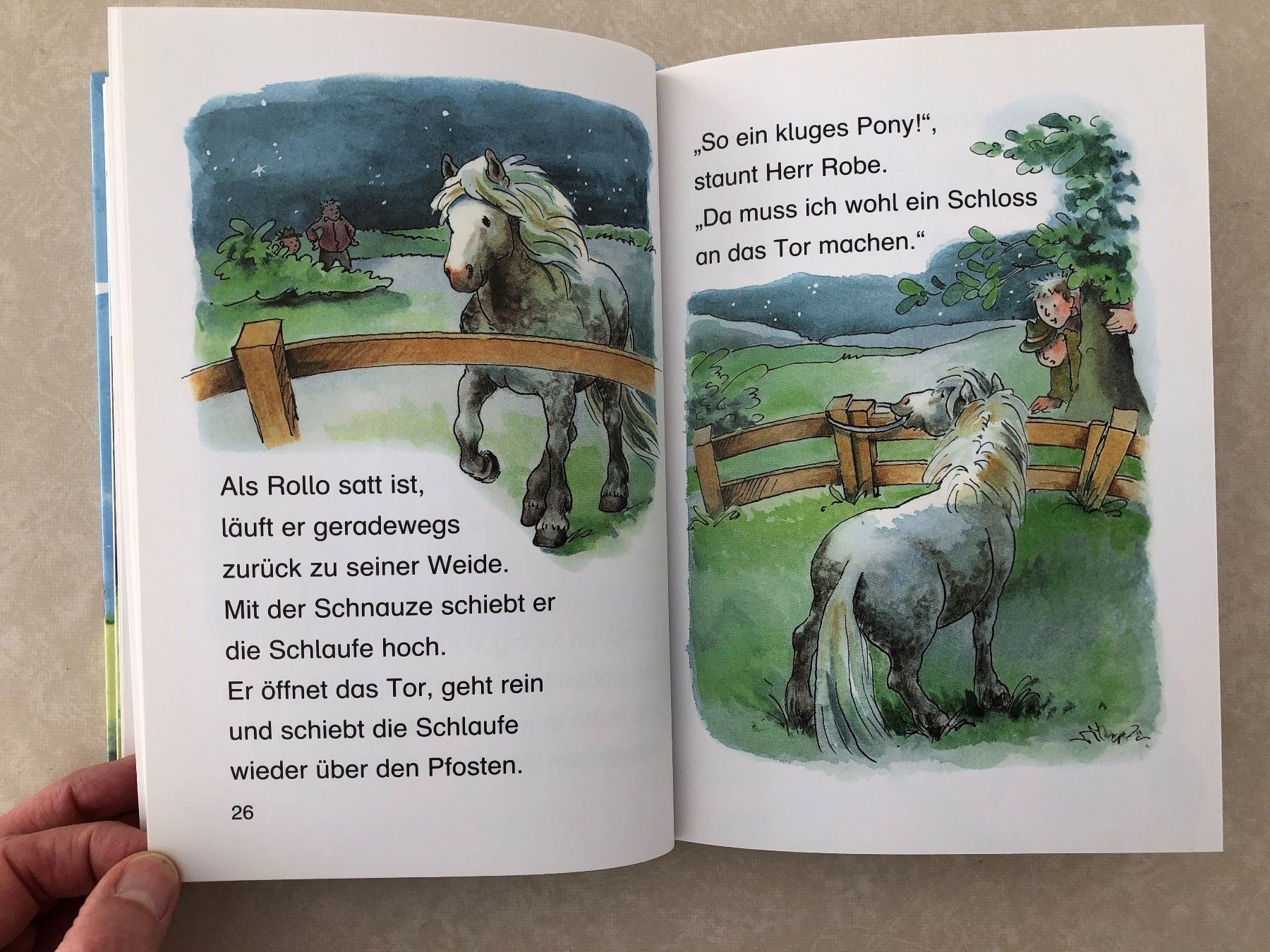 Libri: Kinderbuch "Ponygeschichten" – Nuovo (secondo la descrizione) da Balzers venduto da Kubus 2