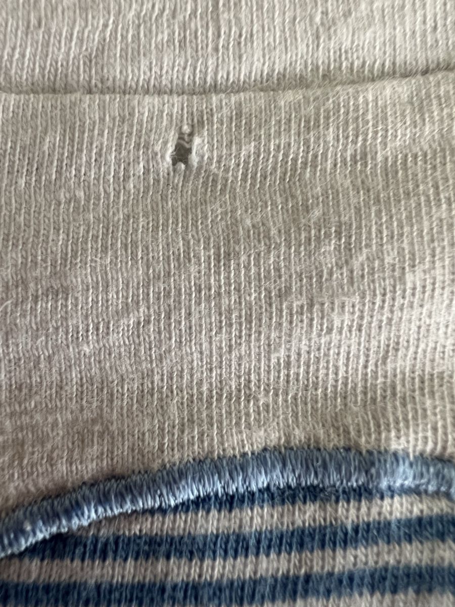 Steiff Camicie, T-shirt & Polo: STEIFF T SHIRT GR 116 – Usato da Basel venduto da theo-g77 2