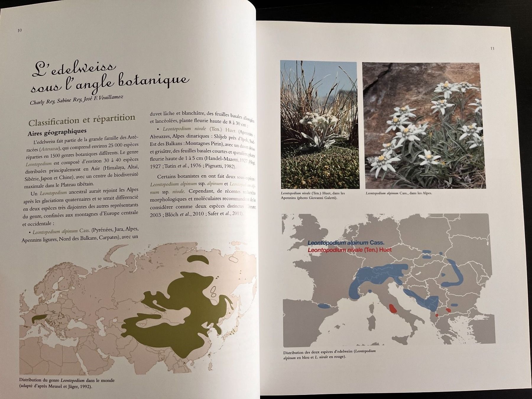 Bücher: Edelweiss, La Reine des Fleurs – Gebraucht aus Lausanne von Kinga_Shopaholic 4