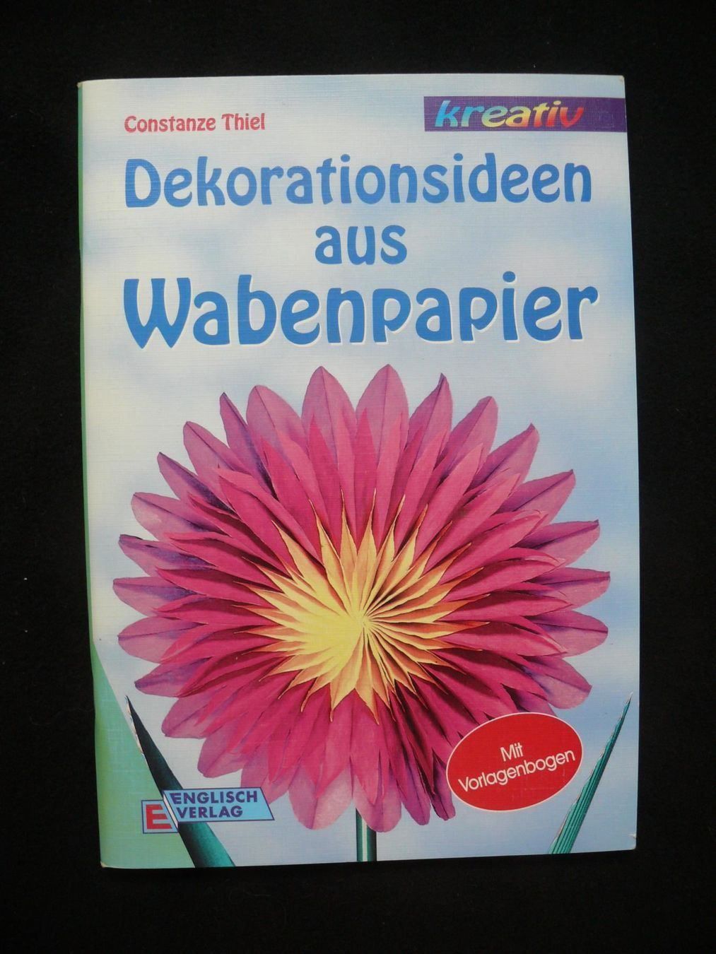 Libri: Dekorationsideen aus Wabenpapier – Usato da St. Gallen venduto da elk2021