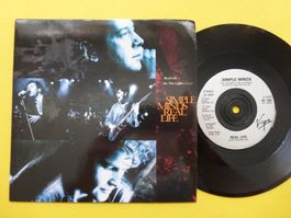 Simple Minds – Real Life
