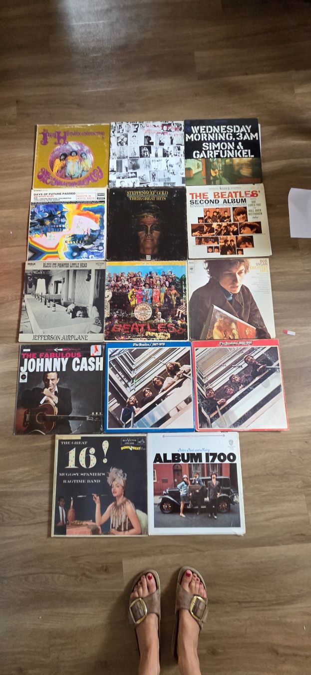 Dischi in vinile: Grosse LP Sammlung mit zahlreichen US Erstpressungen – Usato da Thun venduto da monimoni80 6