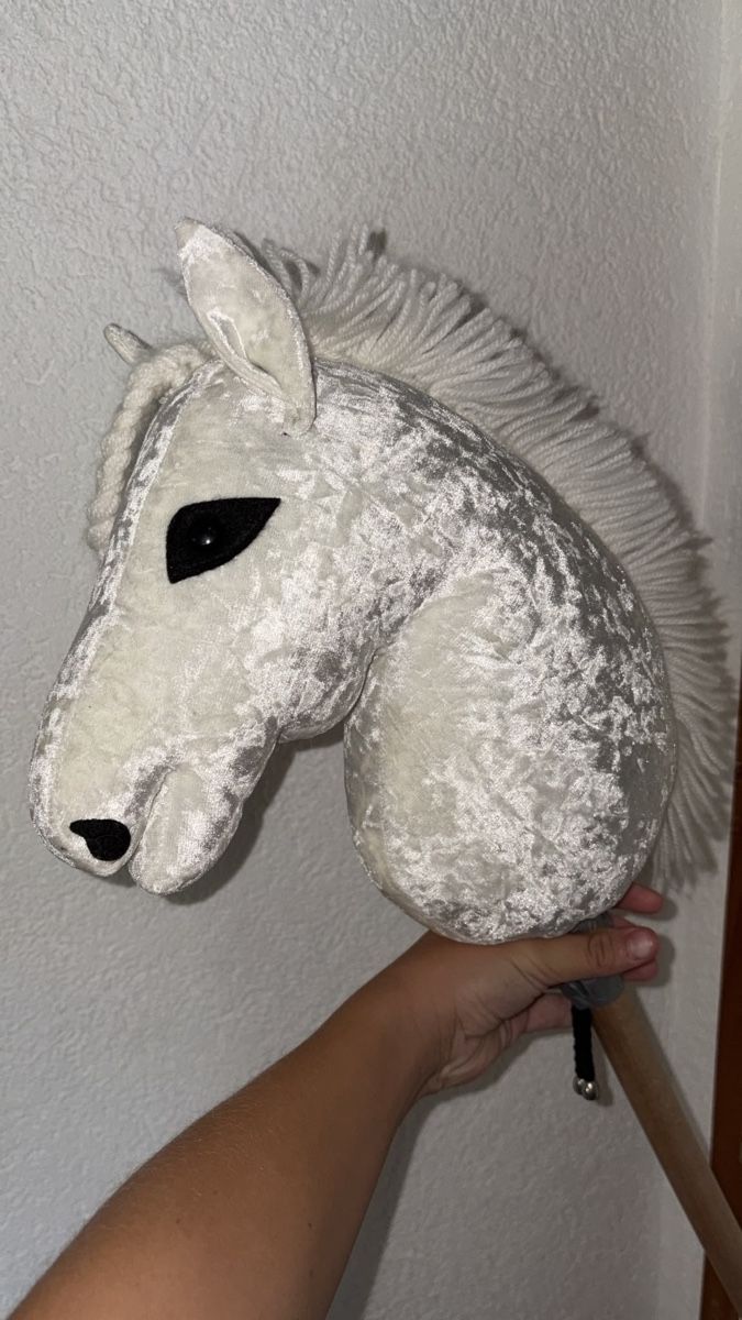 Giocattoli: Hobby horse – Usato da Châtillens venduto da marmotte101 1