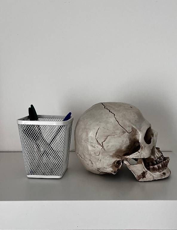 Tutte le decorazioni: Teschio da decorazione – Usato da Massagno venduto da dar_z26m 2