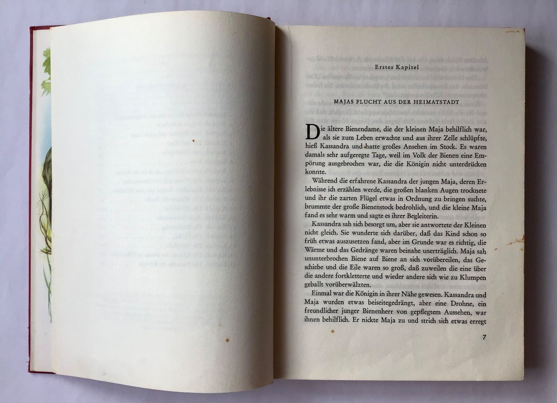 Libri: Kinderbuch-Klassiker: Die Biene Maja – Usato da Bubendorf venduto da Alpenheidi 3