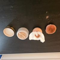 2 stüEstee Lauder Puder "Sheer Glow" -pinsel!