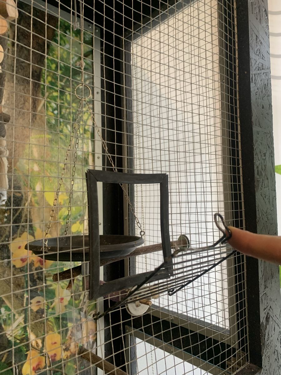 Käfige, Transport & Sicherheit: Grosse, edle Vogelvoliere Vogelkäfig – Gebraucht aus Neuenegg von Mazdanier 9