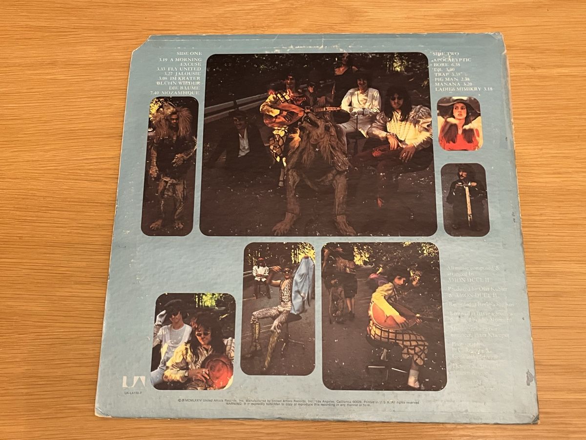 Dischi in vinile: Amin Düül 2 Lp USA – Usato da Basel venduto da Vinyloase 1