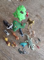 Playmobil Wild Tiere, 19 Stück 