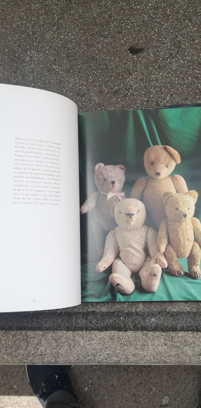 Spielzeuge: Buch: Mon Nounours A Des Bobos – Gebraucht aus Thun von Matthias72 7