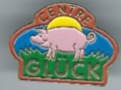 Placchette & Badge: Glück, Pin – Usato da Zürich venduto da t24_de