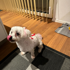 Profile image of big57