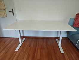 IKEA SKARSTA/TROTTEN  Stehschreibtisch höhenverstellbar