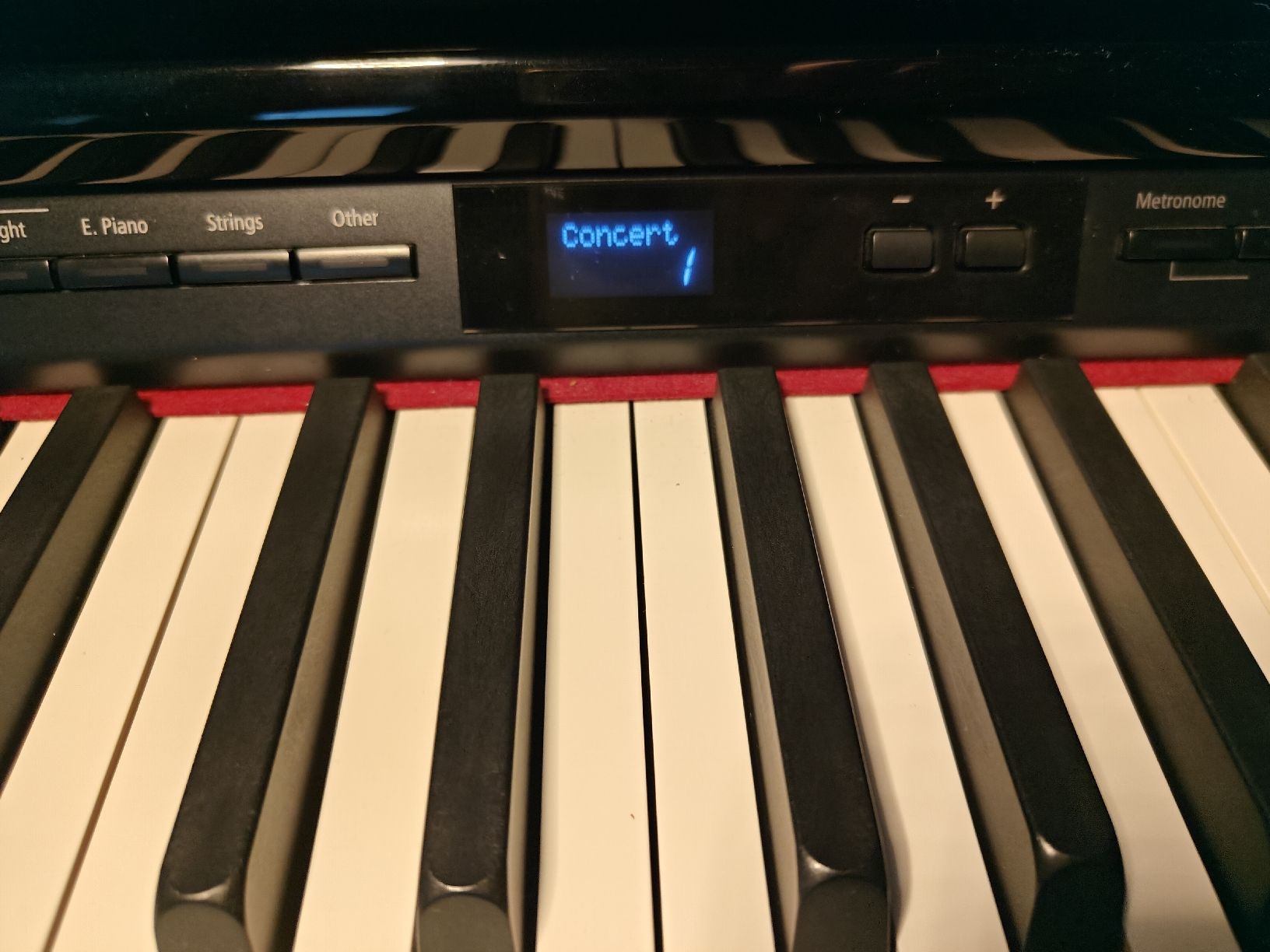 Roland Strumenti musicali: Roland Digital Piano DP90Se – Usato da Zollikon venduto da EVinceNi 2