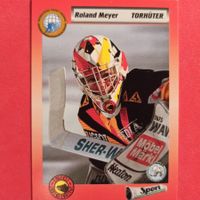 Roland Meyer - SC BERN CARD - 1993/94