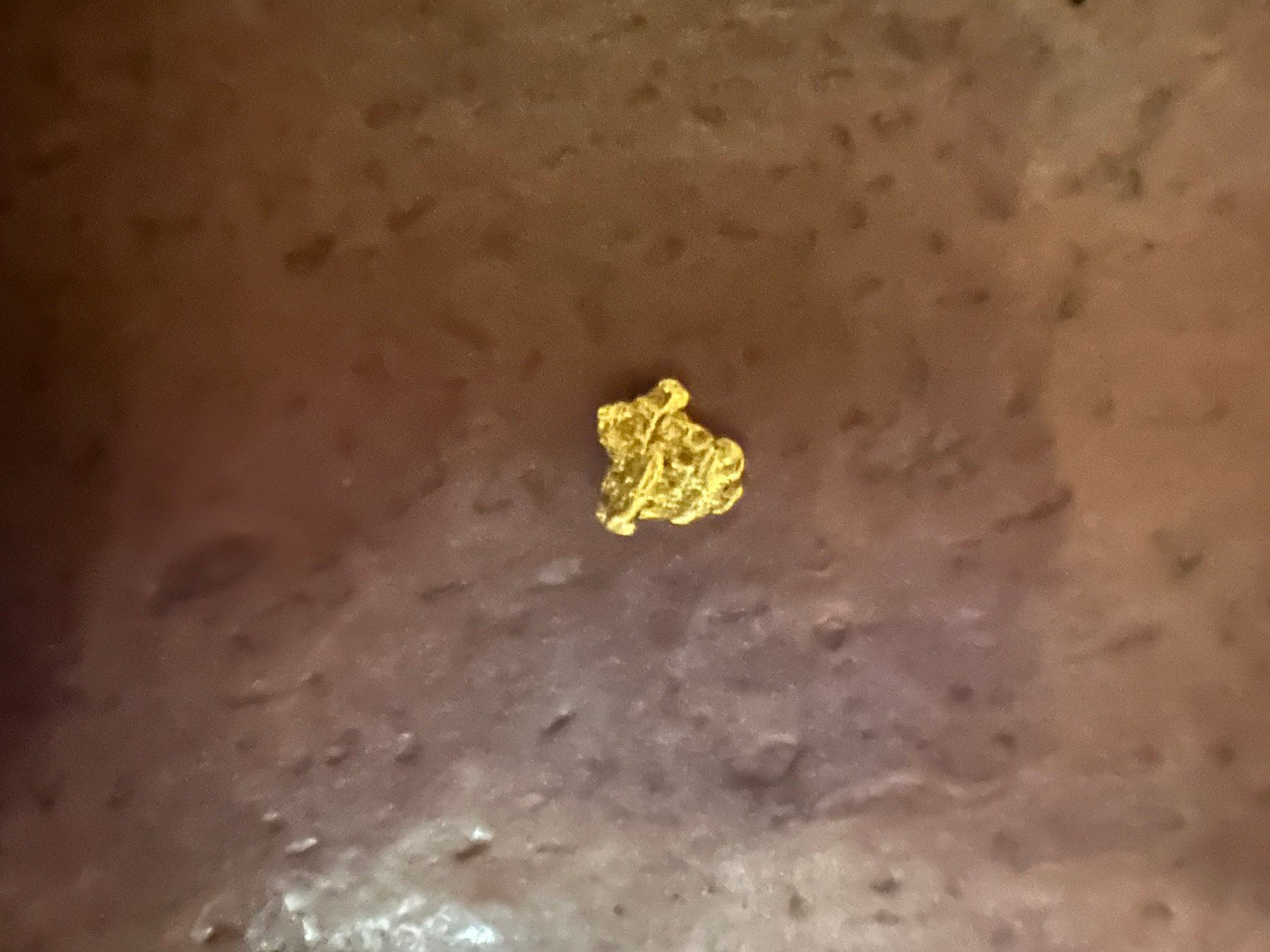 Metalli preziosi: Goldnugget aus Australien 7mm – Nuovo (secondo la descrizione) da rafz venduto da Ttt0071