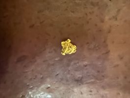 Goldnugget aus Australien 7mm