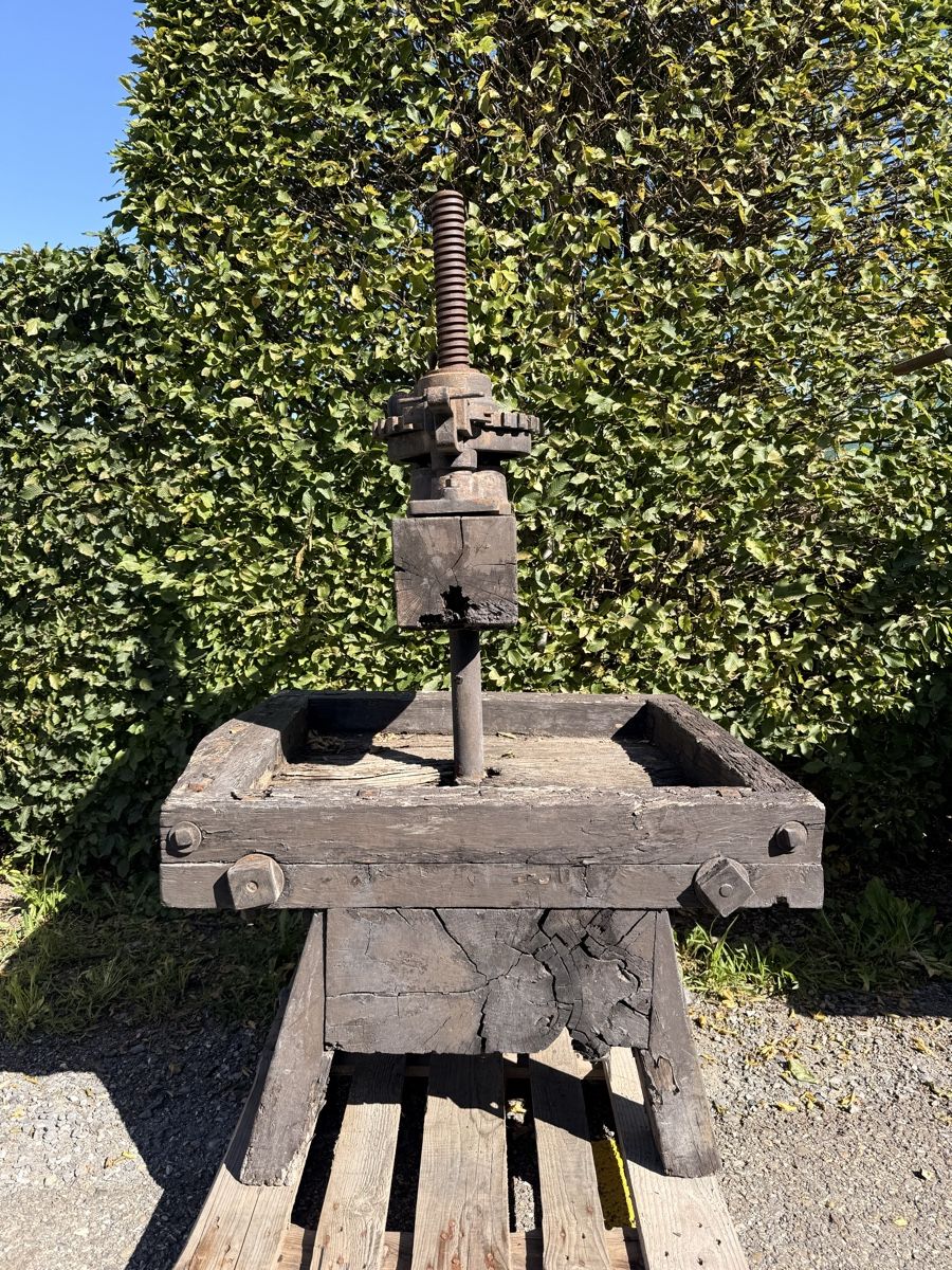 Tutte le macchine: Alte Holzpresse, Apfelpresse, antik, robust – Usato da Bonstetten venduto da TheSecretGarden