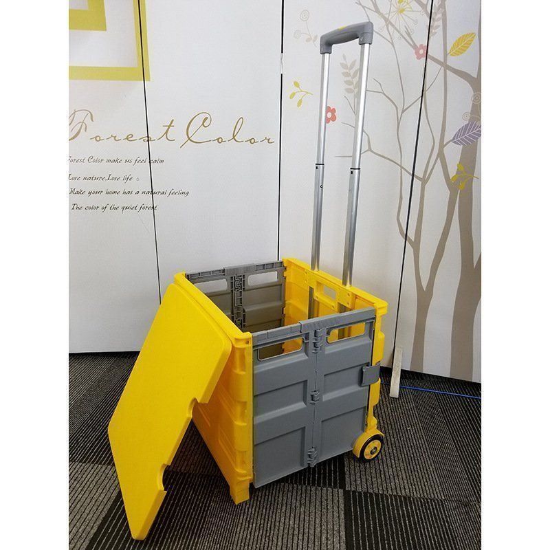 Chariots à fourches & chariots élévateur: Chariot Charette pliable avec couvercle – Neuf avec emballage d'origine à Morges par M-Store 1