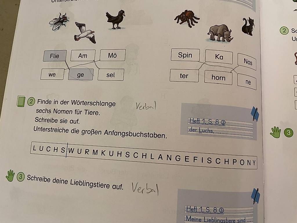 Libri: Einstern s Schwester 2 Themenheft 1-4 – Usato da nidau venduto da sanyu80 2