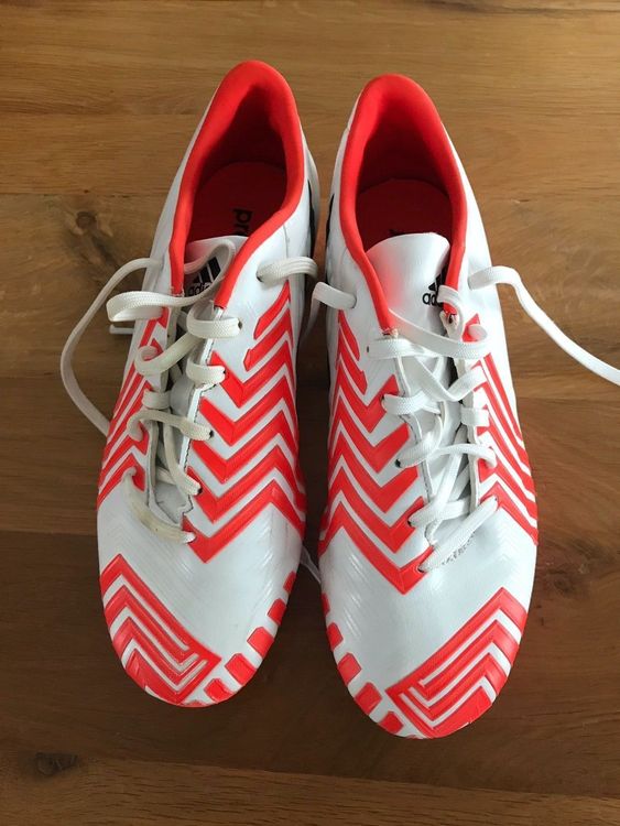 Adidas predator 2024 absolado hallenschuhe