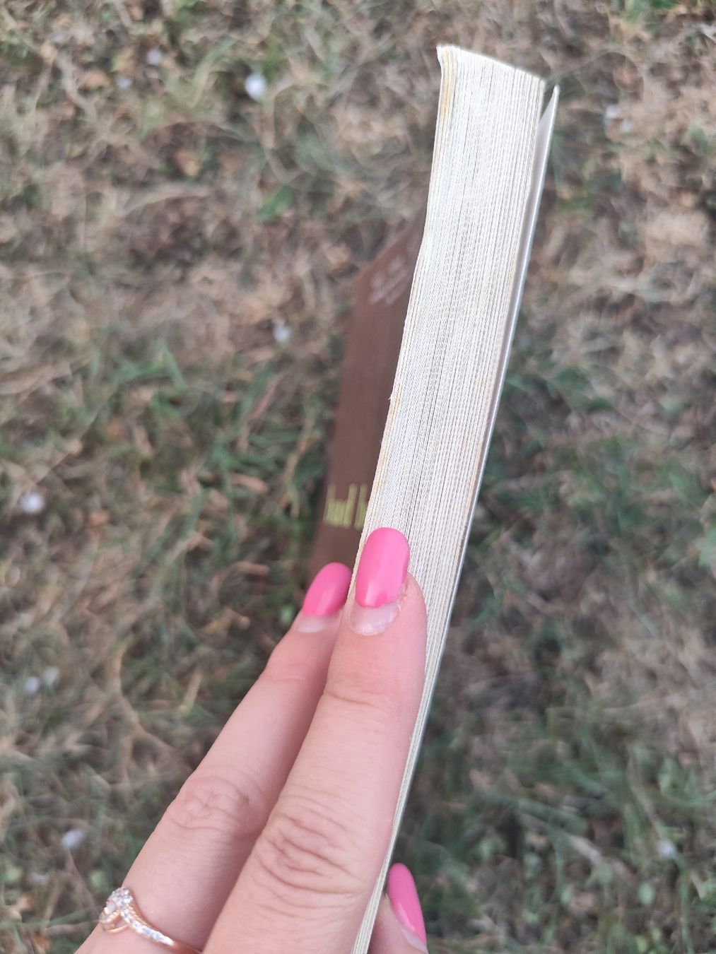 Bücher: Bad Behavior Stories Mary Gaitskill Paperback – Gebraucht aus Mägenwil von VintageGirly 2