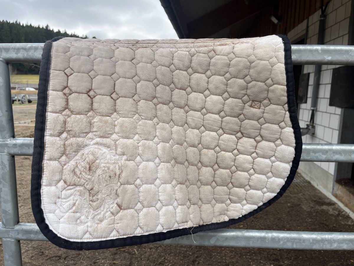 Decken: Equiline Springschabracke – Gebraucht aus Münsingen von lenamarie04 2